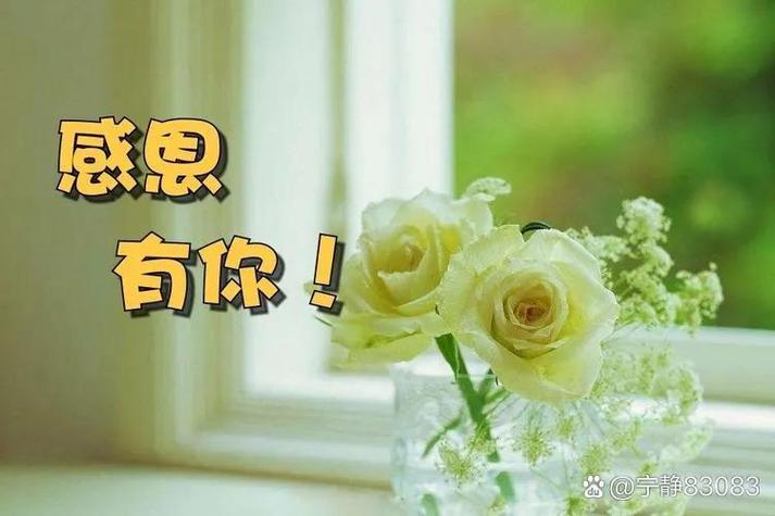 感恩美好的一切,感恩一切的美好图标