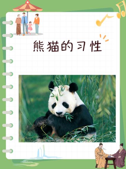 去看熊猫的最佳时间