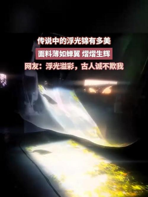 浮光锦真假鉴别方法截图