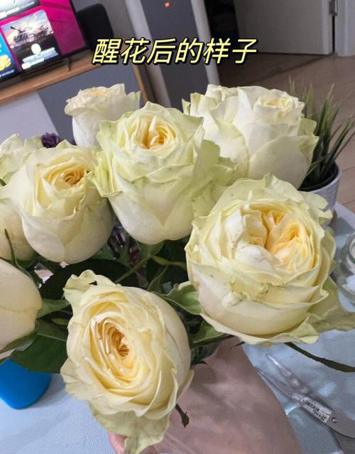 兼职养花怎么赚钱