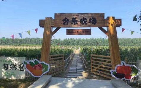 有机蔬菜农场+线下门店