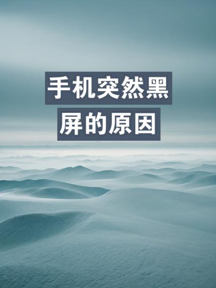 手机接视频突然黑了一下截图