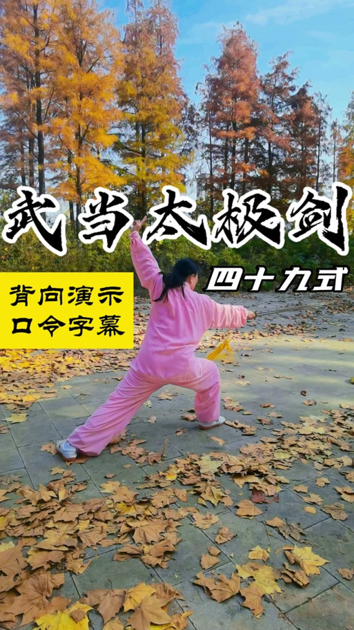 太极剑初学入门基础教学视频