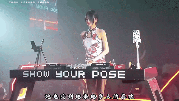 dj 2010截图