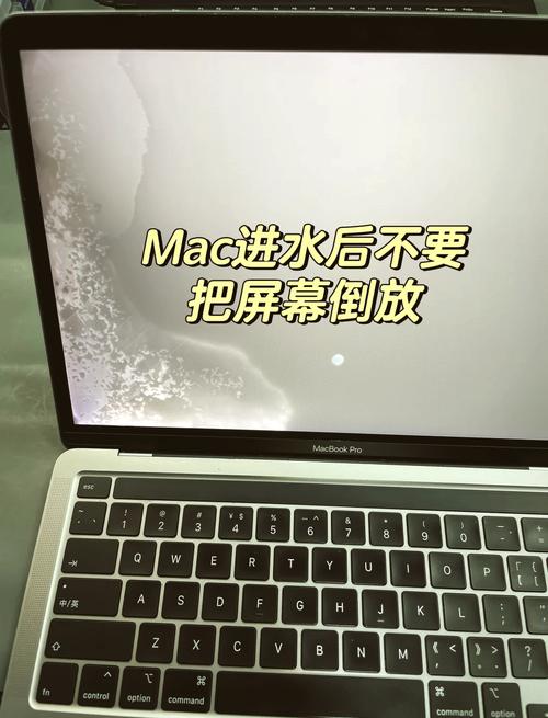 mac触控板进水截图