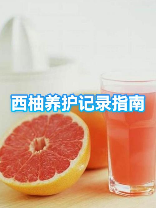 西柚视频怎样收费
