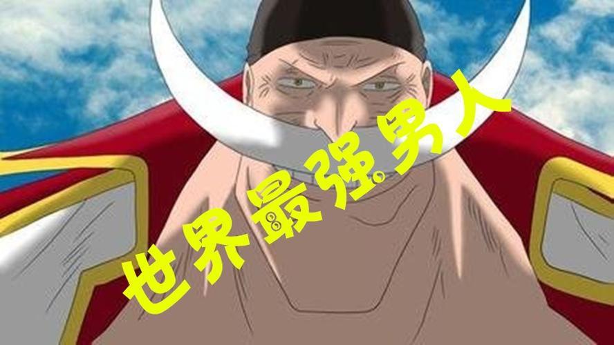 航海王第一版主小强