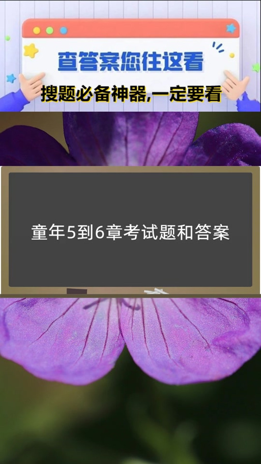 淘师湾作业答案