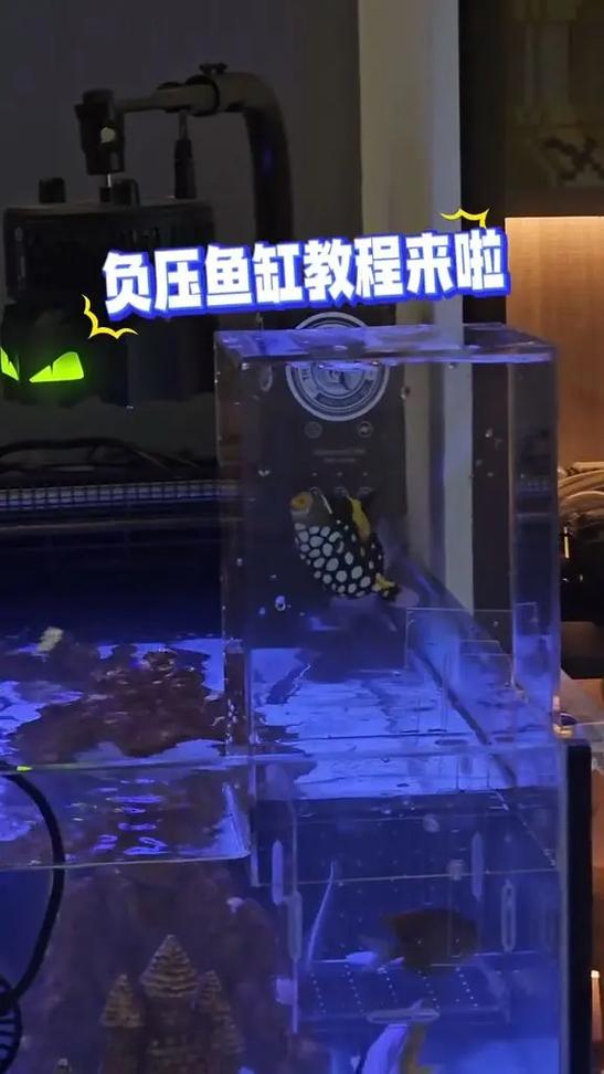 鱼缸怎么拆卸视频教程