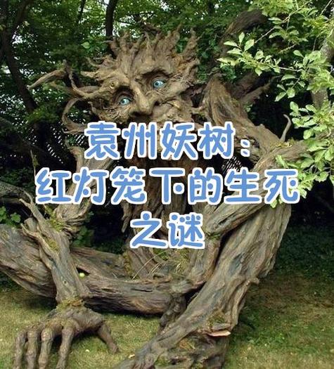 重生西游成妖树