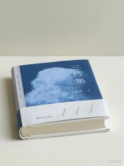 三行的书最新马甲截图