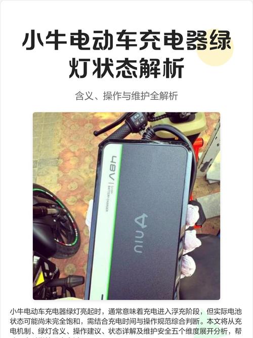 小牛充电器绿灯闪烁什么意思图标