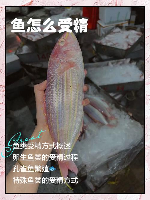 分红鱼怎么合成缩略图