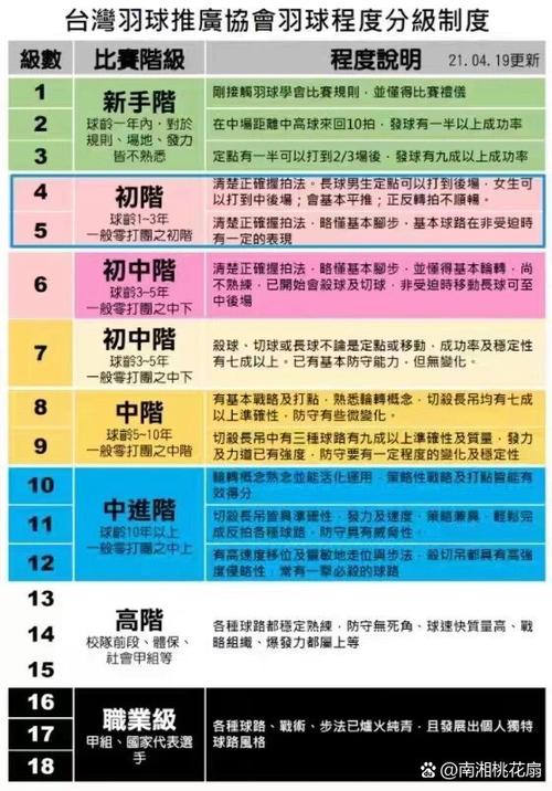中羽羽毛球等级划分