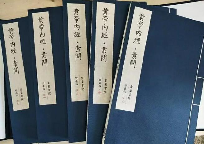 黄帝内经素问原文及译文截图