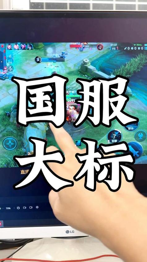 王者荣耀国服标志什么样缩略图