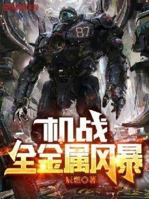 机战全金属风暴