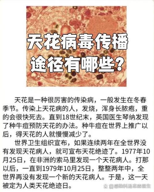 天堂引路人有病毒吗截图