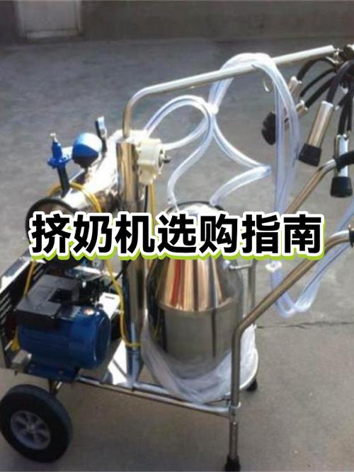 转盘挤奶机工作视频