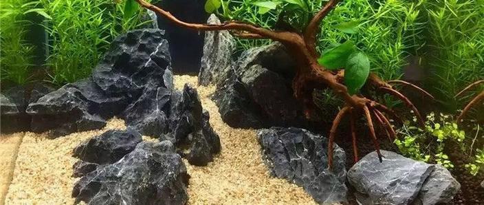 为什么鱼缸水突然变得很浑浊截图