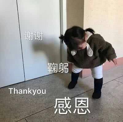 “收到,谢谢”表情包