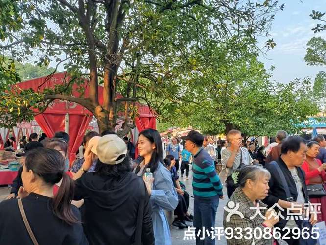 慈溪相亲角在哪里游戏截图