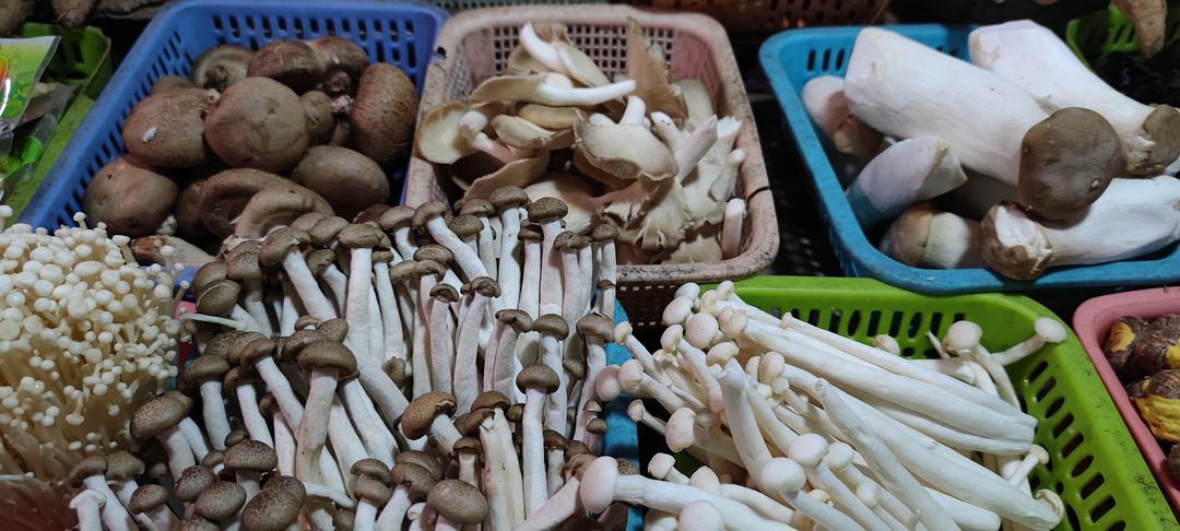 市场上什么菌菇最好卖