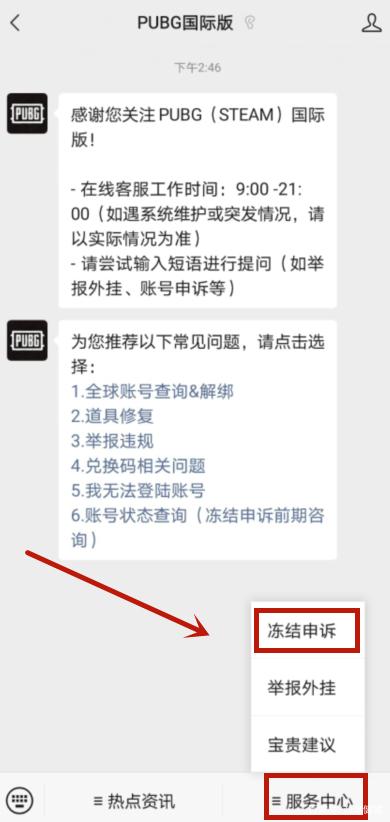 PUBG申诉范文游戏截图