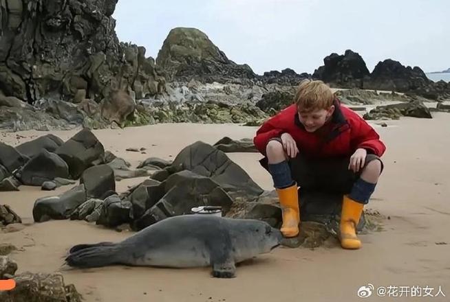 喜欢海豹的人的性格游戏截图
