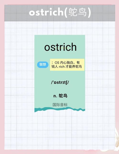 littering怎么读