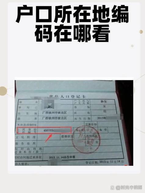 什么是实名认证的“户号”?