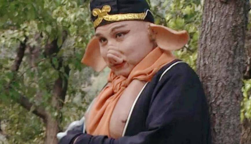 八戒八戒免费观看高清电视剧
