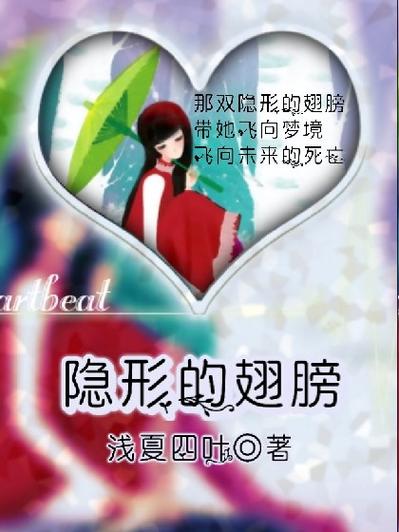 隐形的翅膀小说