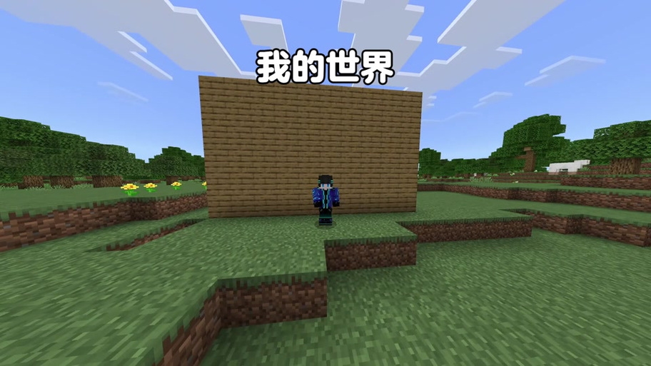 我的世界阿浪哥游戏解说