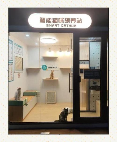 附近有喵领养平台
