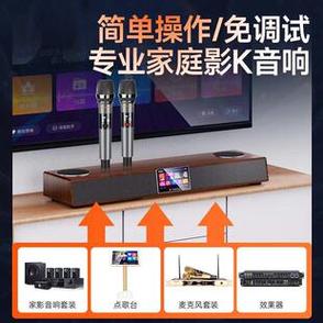点歌机无线话筒没声音