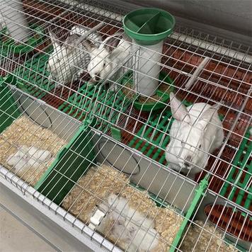 三层子母兔笼的安装