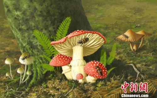 主角重生为蘑菇白垩纪截图