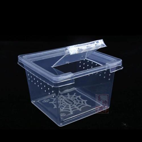 蜘蛛盒子玩具图标