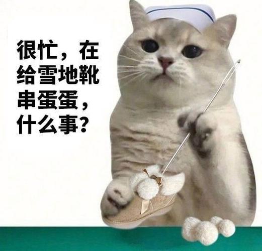 qq表情猫是什么意思