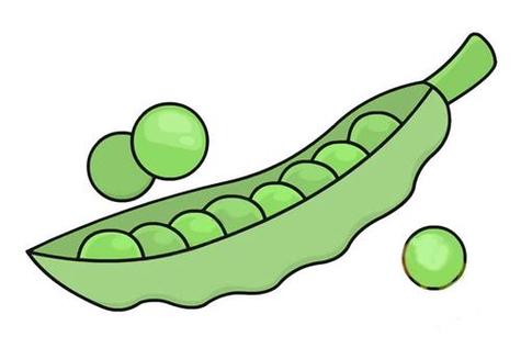 SSSS级豌豆王简笔画