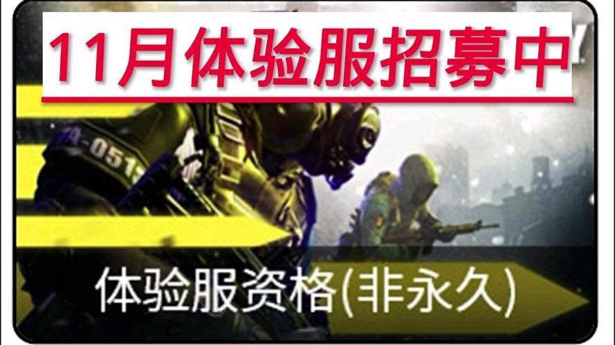 使命召唤体验服资格申请