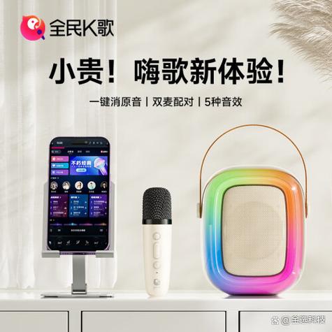 麦克风和话筒唱歌哪个好