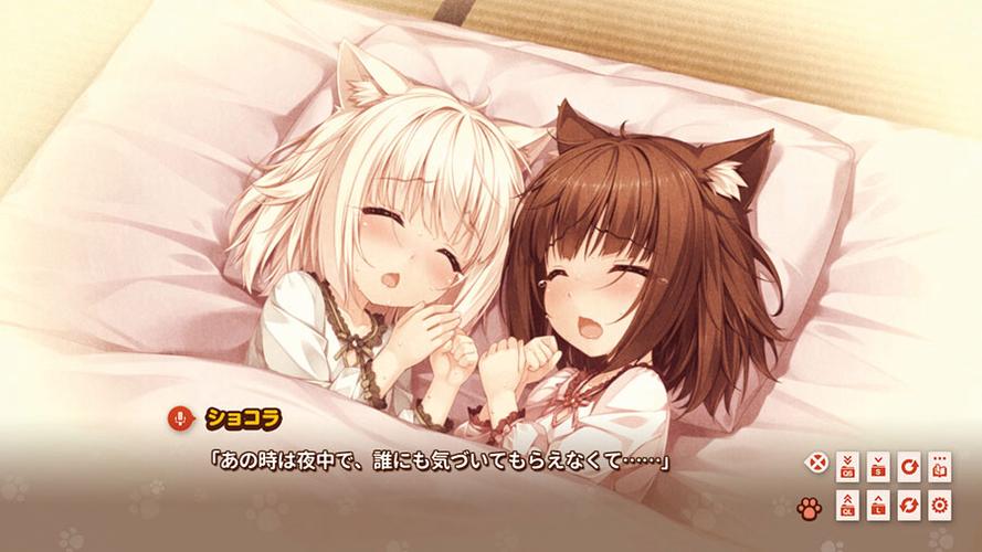 猫娘乐园4游戏