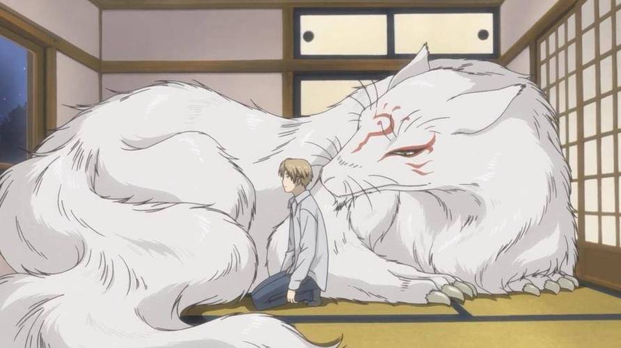 猫咪老师是妖怪还是龙截图