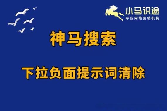 小马搜索官方破解版