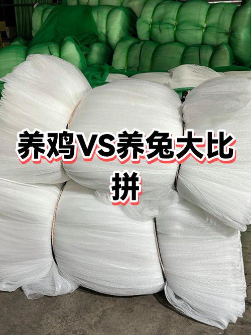 养兔子和鸡哪个赚钱快