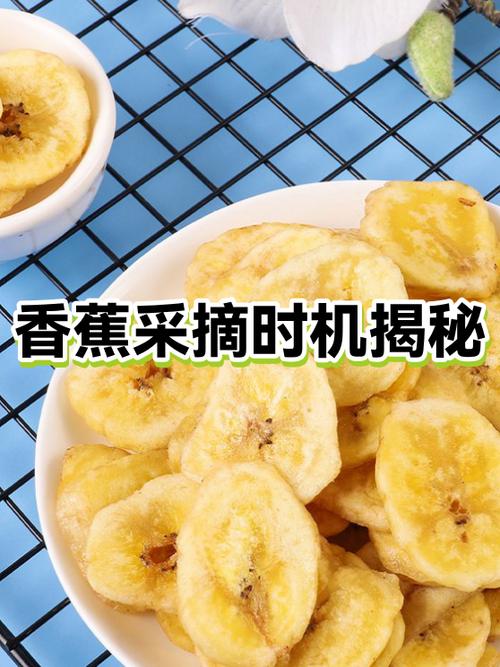怎么藏香蕉才会成熟图标