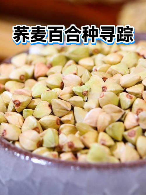 百合网注销了还能找到