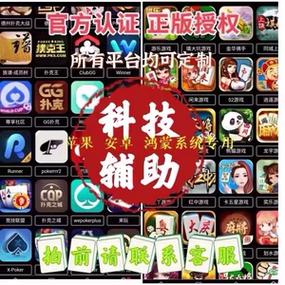 麻将ai助手